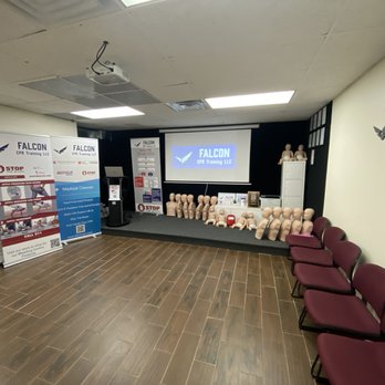 Falcon CPR Training - CPR Classes Near Me - Chicago, Illinois Falcon CPR Training - CPR Classes Near Me - Chicago, Illinois