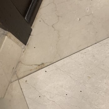 Jupiter Beach Resort & Spa - Mouse droppings in the bathroom - Hotels Near Me - Jupiter, Florida Jupiter Beach Resort & Spa - Mouse droppings in the bathroom - Hotels Near Me - Jupiter, Florida