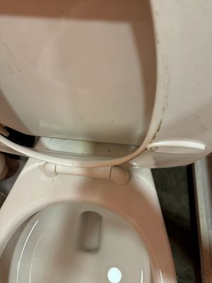 OddFellows Ice Cream Co. Domino Park by null