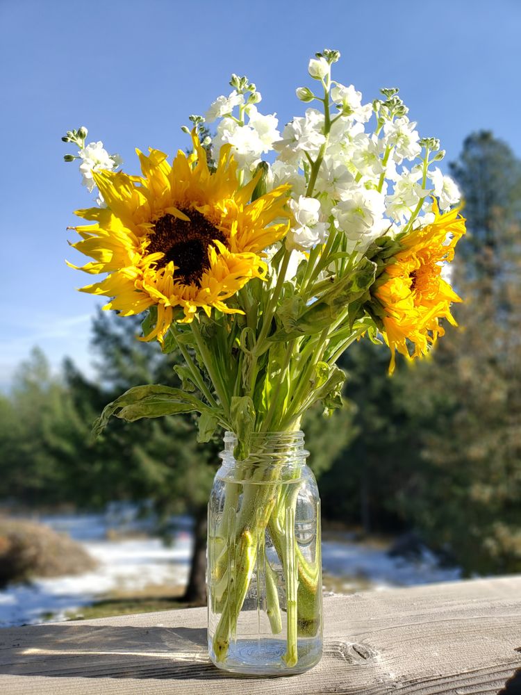 SAFEWAY Updated August 2024 10 Photos & 17 Reviews 1001 N 4th St