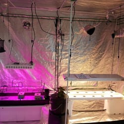 Hydroponics in action, visit the store and learn how to hydro.