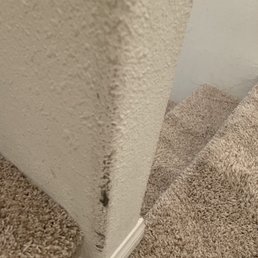 Damage on the wall from shampoo hose