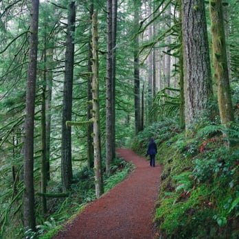 Silver Falls State Park - Hiking Near Me - Sublimity, Oregon Silver Falls State Park - Hiking Near Me - Sublimity, Oregon