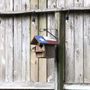 Photo of Just For the Birds