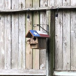 Just For the Birds