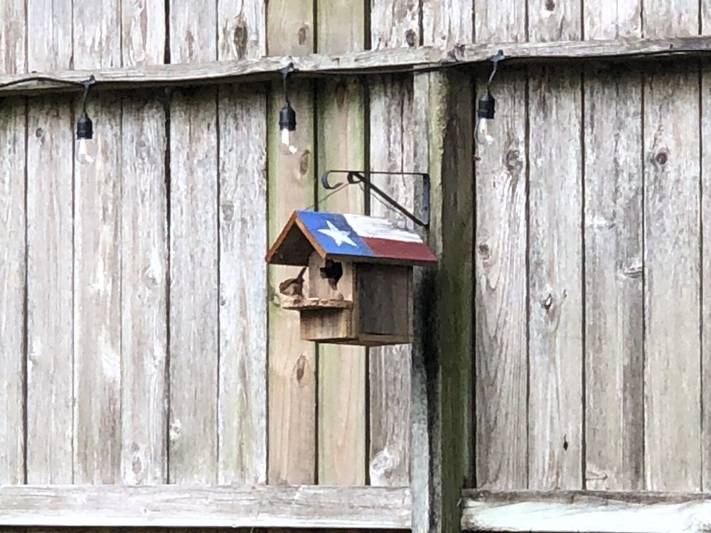 Just For the Birds Image