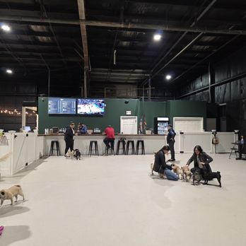 Ruff Draft - Dog Park - Sports Bars Near Me - Woodinville, Washington