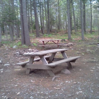 Megunticook Campground - In front of cabin - Campgrounds Near Me - Rockport, Maine Megunticook Campground - In front of cabin - Campgrounds Near Me - Rockport, Maine