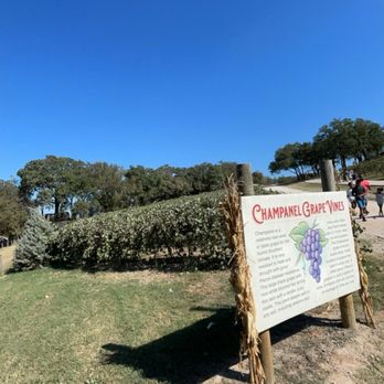 Mainstay Farm - Vineyard - Venues & Event Spaces Near Me - Cleburne, Texas