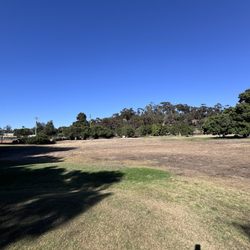 Presidio Hills Golf Course - Large portions of the course were dead
