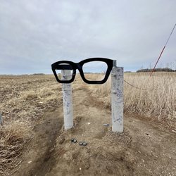 Where The Music Died - 2025
