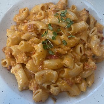 O+O Pizza - Spicy Lobster Rigatoni - Italian Near Me - St. Louis, Missouri O+O Pizza - Spicy Lobster Rigatoni - Italian Near Me - St. Louis, Missouri