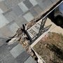 Clean Tech Solutions