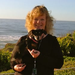 A Lot of Love Dog Care - Owner Susan loves her job just as much today as when she started over twenty years ago.