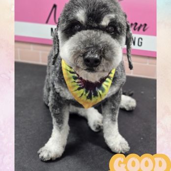 Nicole Dunn Mobile Grooming - Pet Groomers Near Me - Riverside, California