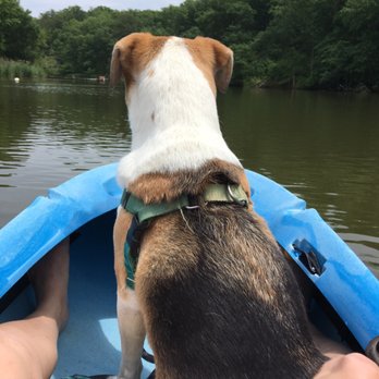 Capital Sup - Kayaking with my dog, Buford! - Rafting/Kayaking Near Me - Annapolis, Maryland Capital Sup - Kayaking with my dog, Buford! - Rafting/Kayaking Near Me - Annapolis, Maryland