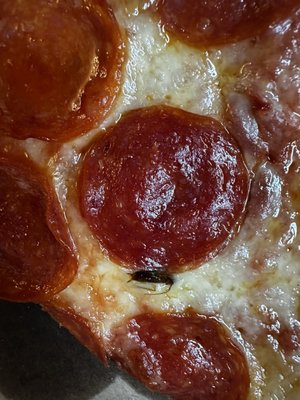 Villa Fresh Italian Kitchen