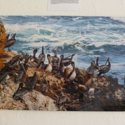Cloud Nine Art Gallery