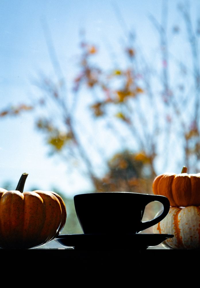 Stock & Brew Cafe Logo