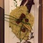 Photo of Il Pasticcio