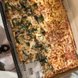 Half cheese and half spinach pie Half cheese and half spinach pie