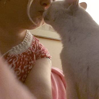 Heavy Petting Pet Sitting - Miss Blanche kisses - Pet Sitting Near Me - Charlotte, North Carolina Heavy Petting Pet Sitting - Miss Blanche kisses - Pet Sitting Near Me - Charlotte, North Carolina