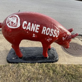 Cane Rosso - Salad Near Me - Arlington, Texas Cane Rosso - Salad Near Me - Arlington, Texas