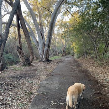 Arroyo Del Valle Trail - Hiking Near Me - Pleasanton, California Arroyo Del Valle Trail - Hiking Near Me - Pleasanton, California