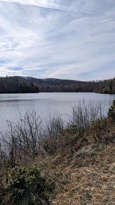 DuPont State Recreational Forest by null