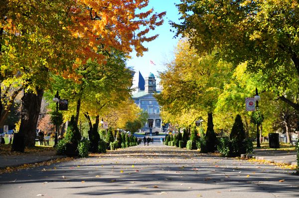 McGill University by null