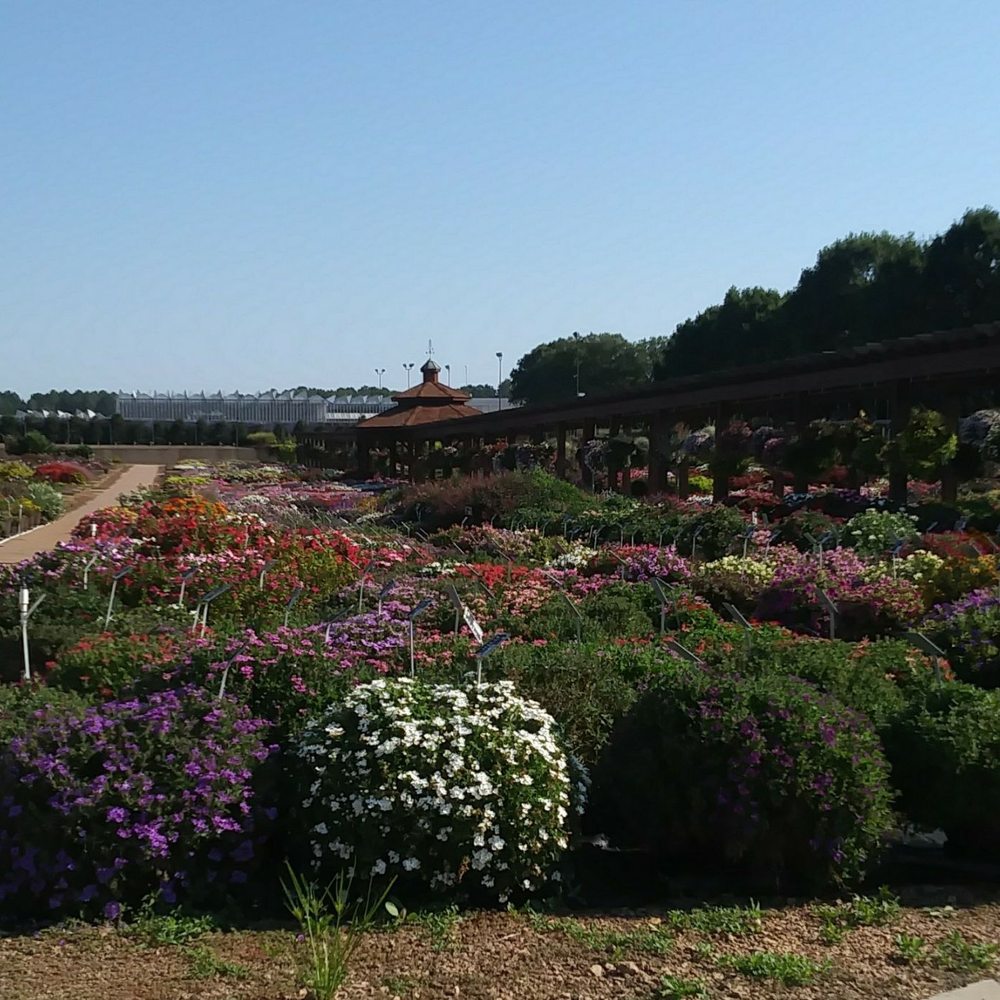 TOP 10 BEST Nurseries & Gardening in Concord, NC - November 2023 - Yelp