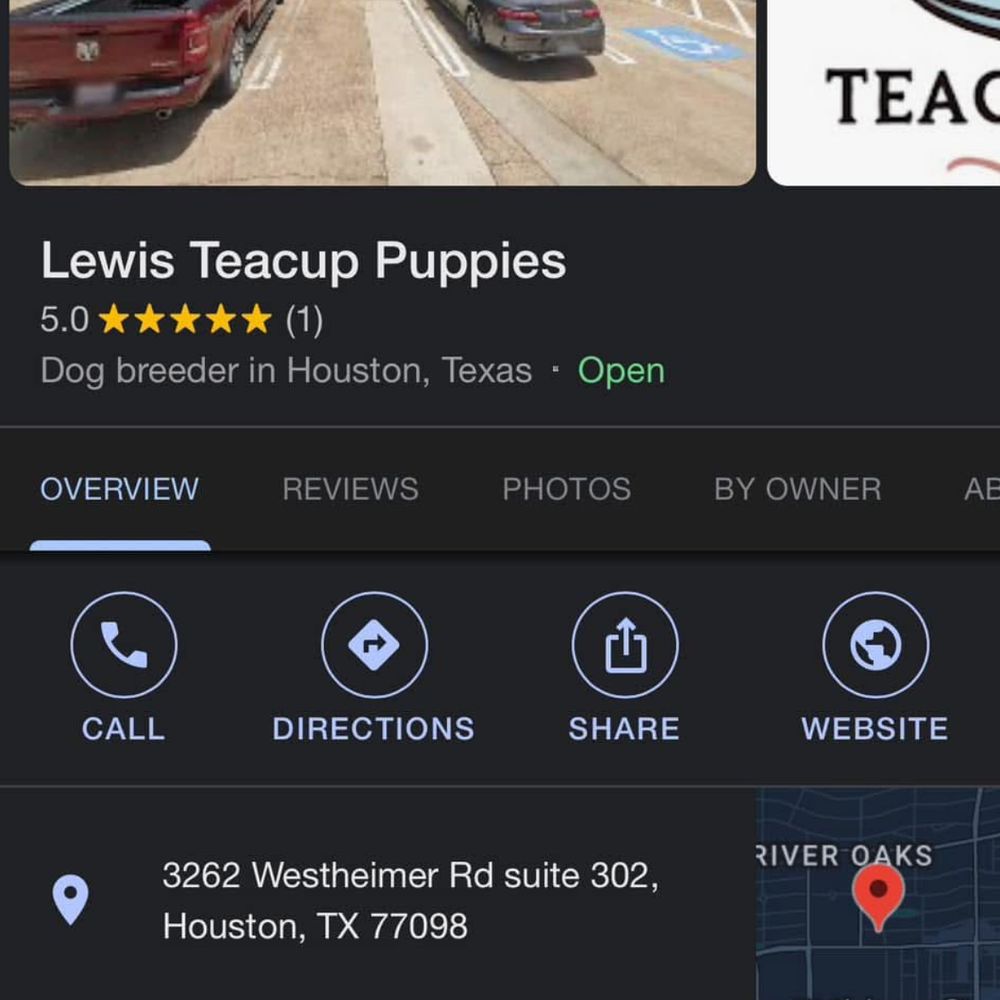 Lewis Teacup Puppies - Pet Breeders Near Me Lewis Teacup Puppies - Pet Breeders Near Me