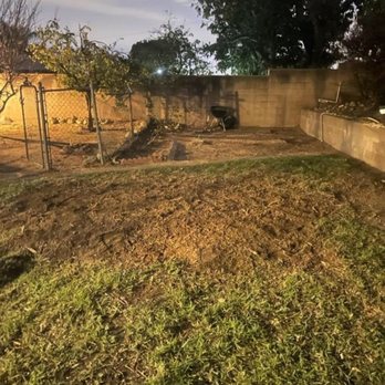 SoCal Tree Pros - After - Tree Services Near Me SoCal Tree Pros - After - Tree Services Near Me