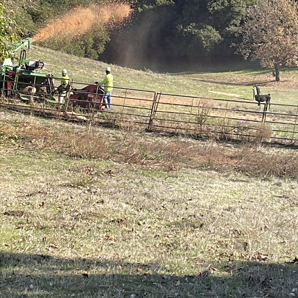 Ecology Tree Care - Wood chips dispersed per request - Tree Services Near Me Ecology Tree Care - Wood chips dispersed per request - Tree Services Near Me
