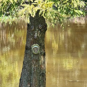 Restaurant des Familles - Zoom of tree with face - Cajun/Creole Near Me - Marrero, Louisiana