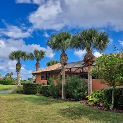 Dave's Tree Service - Palm trees