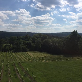 Six Mile Creek Vineyard - View is beautiful! - Wineries Near Me - Ithaca, New York Six Mile Creek Vineyard - View is beautiful! - Wineries Near Me - Ithaca, New York