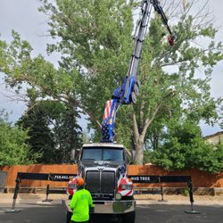 Summit Tree Care