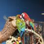 Photo of Aqua Zoo