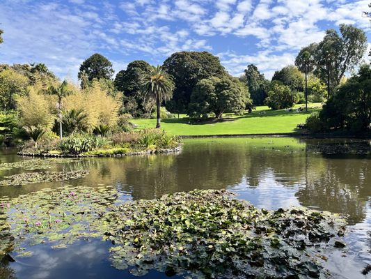 Royal Botanic Gardens Victoria - Melbourne Gardens by null