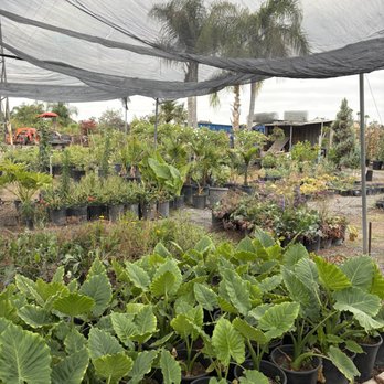 Horizon Nursery - Nurseries & Gardening Near Me - Santa Fe Springs, California