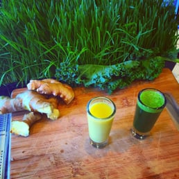 Wheat Grass Shots