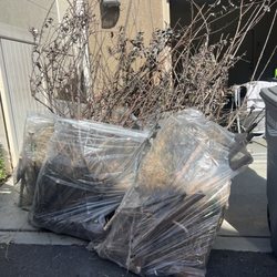 Ron's Junk Removal - Tree & junk