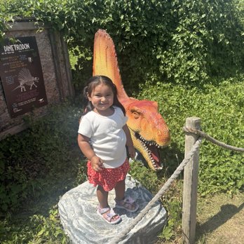 Field Station: Dinosaurs - Amusement Parks Near Me - Leonia, New Jersey