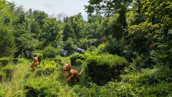 Dinosaur World by null