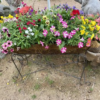 Enchanted Gardens - Baskets - Nurseries & Gardening Near Me - Richmond, Texas