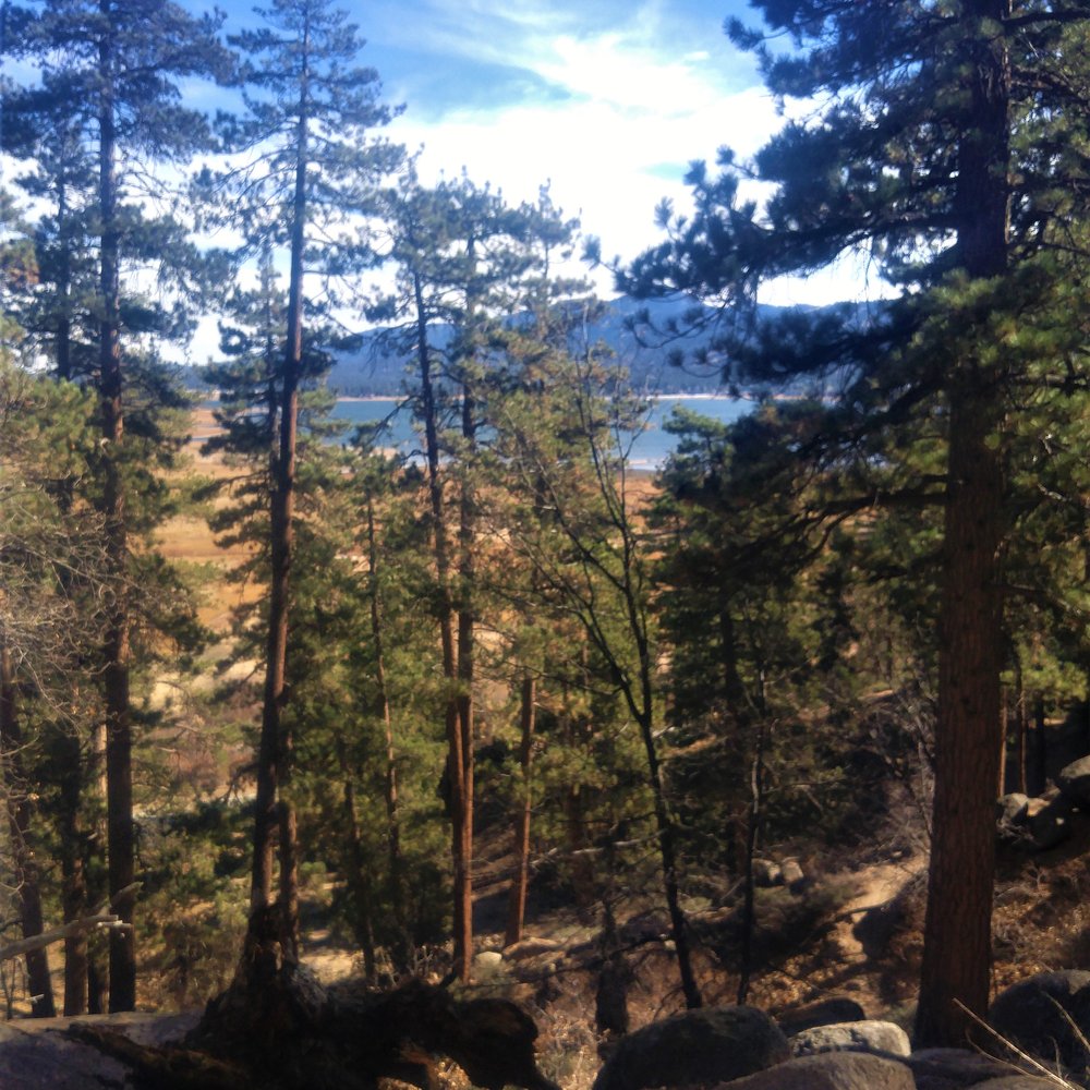 Gray's Peak Trail - Hiking Near Me - Fawnskin, California