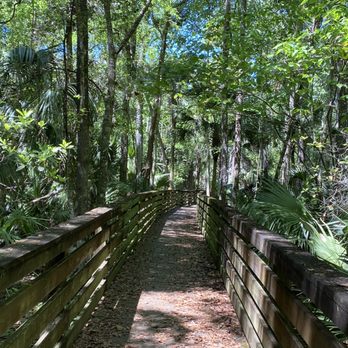 Black Hammock Wilderness Area and Trail - Parks Near Me - Oviedo, Florida Black Hammock Wilderness Area and Trail - Parks Near Me - Oviedo, Florida