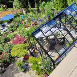 Beautiful glass greenhouse in my garden now