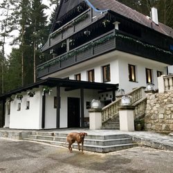 Hunting Lodge Vitkov